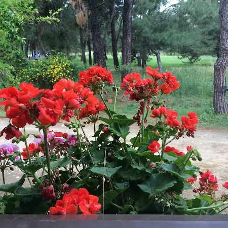 Апартаменты Periklis Принос