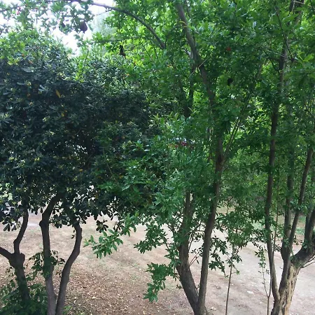 Апартаменты Periklis Принос